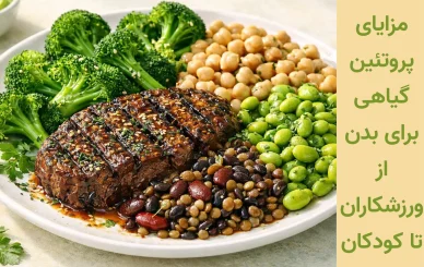 پروتئین گیاهی