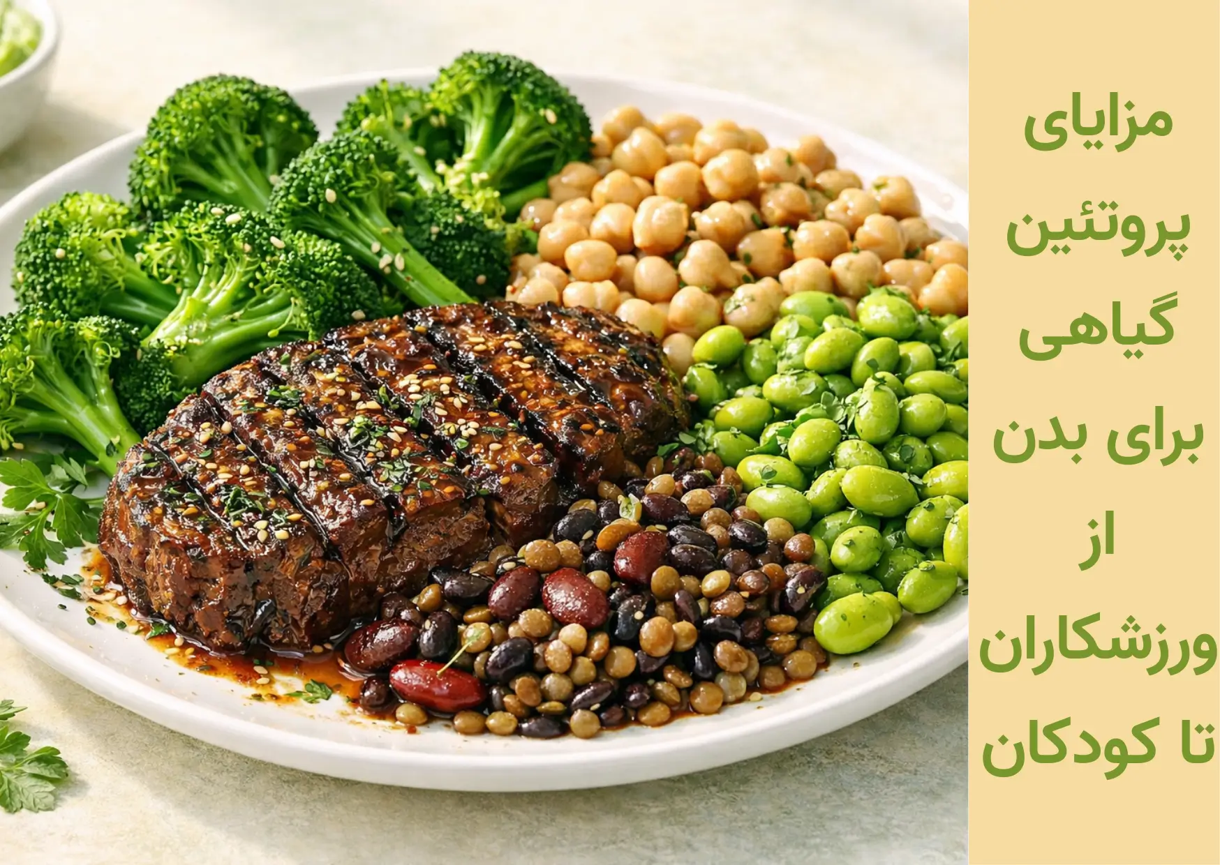 پروتئین گیاهی