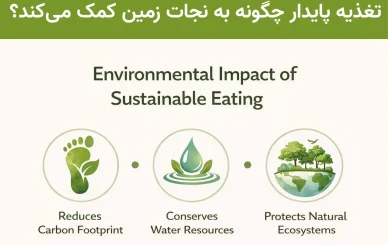 تغذیه پایدار