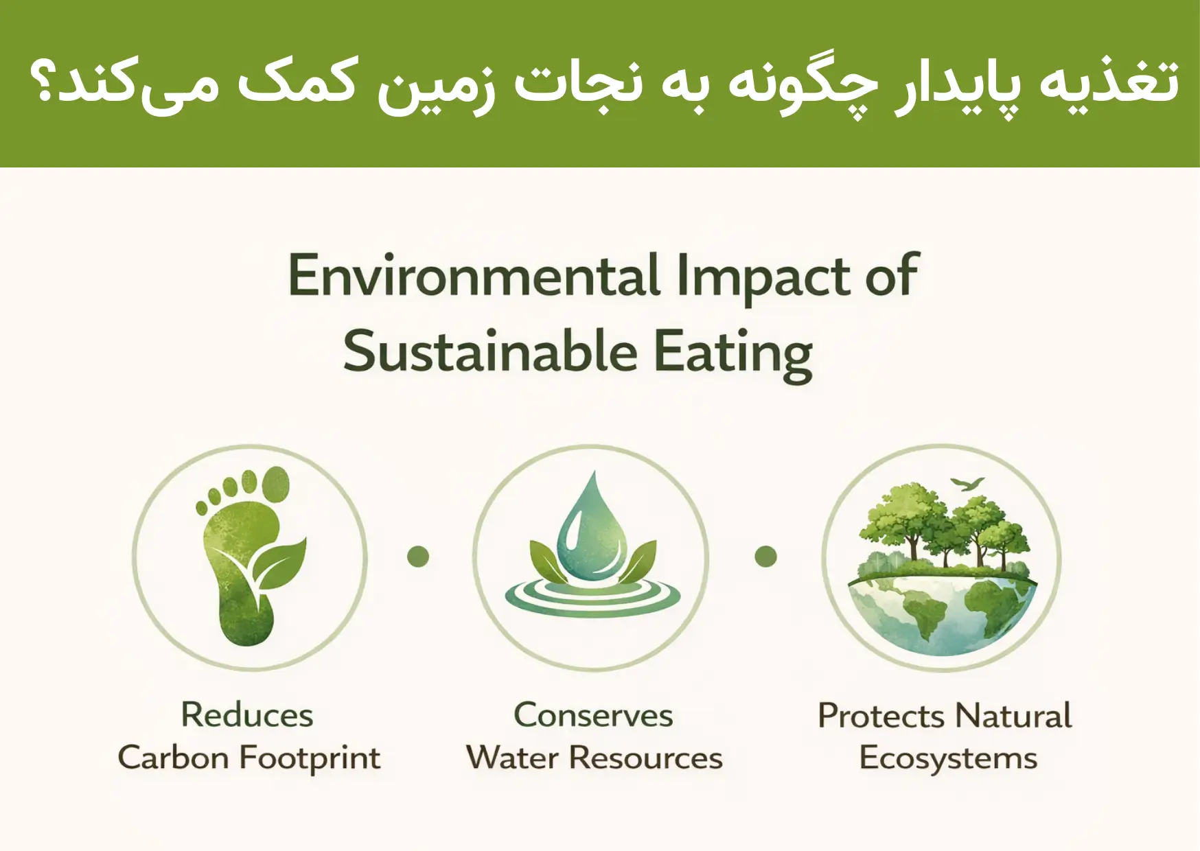 تغذیه پایدار